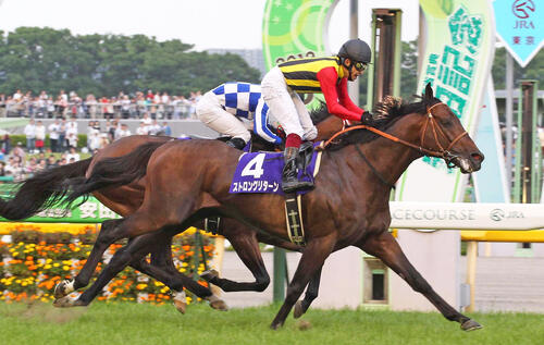 12年安田記念を制したストロングリターン