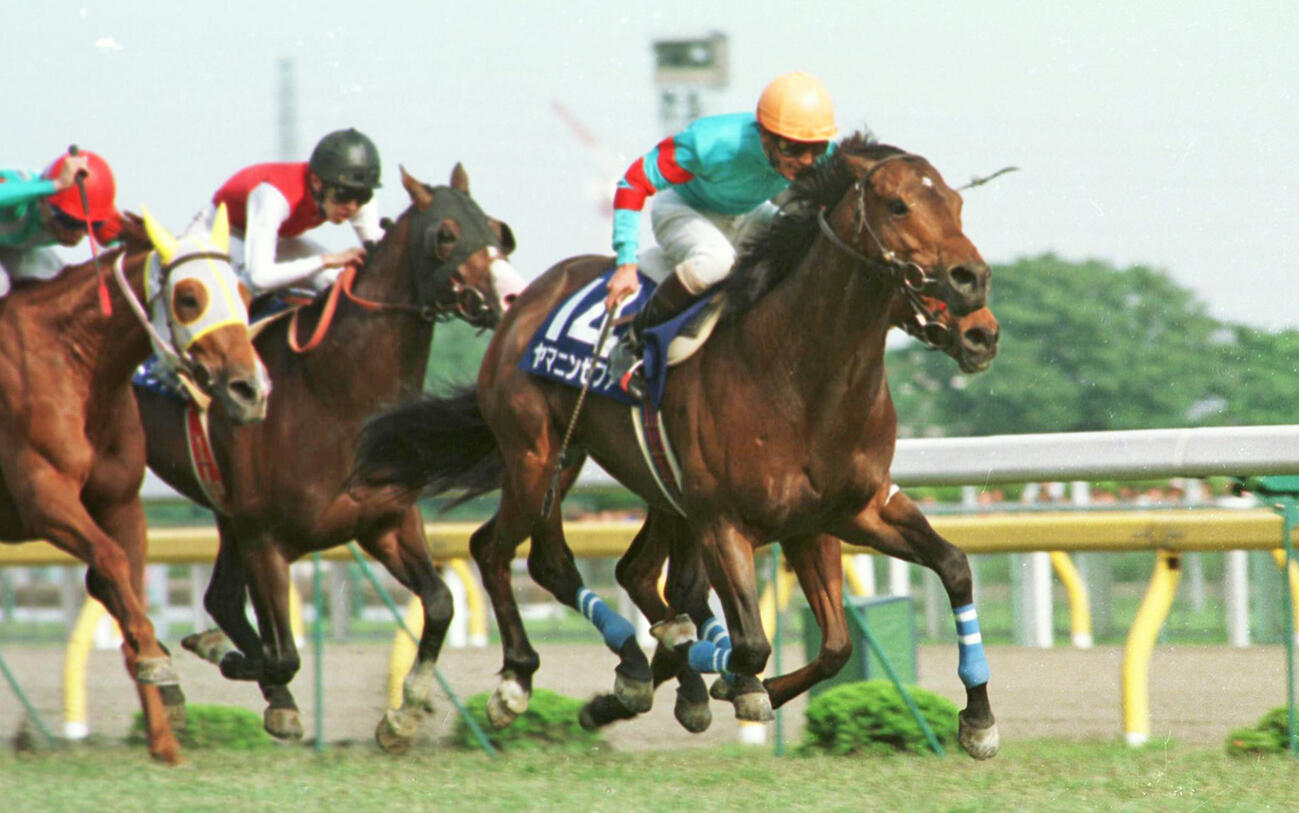 93年安田記念を制したヤマニンゼファー