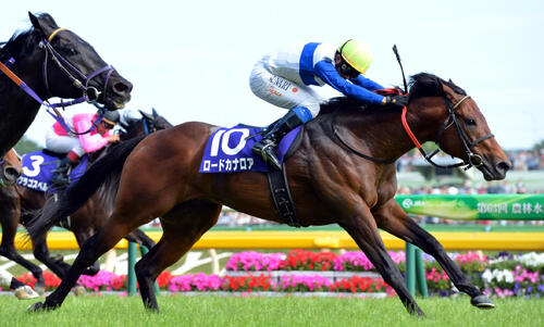 13年安田記念を制したロードカナロア