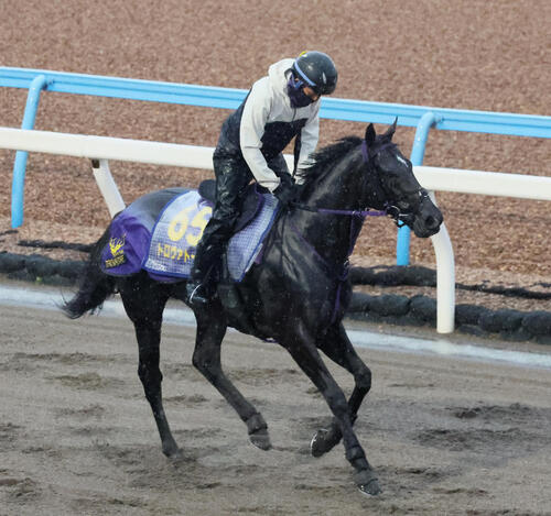3日、ダートコースで運動するトロヴァトーレ