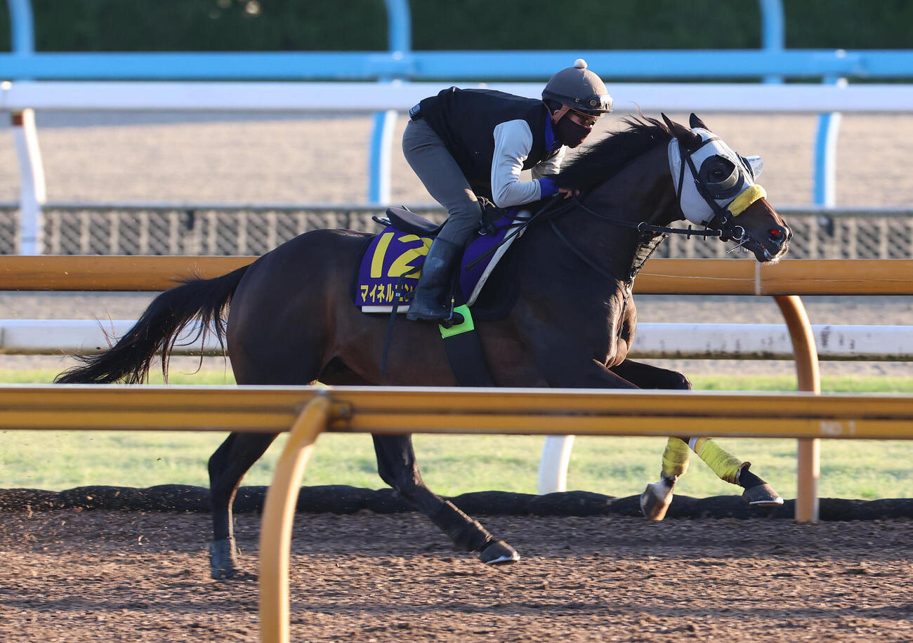 Cウッドを併せ馬で追い切るマイネルエンペラー（撮影・白石智彦）
