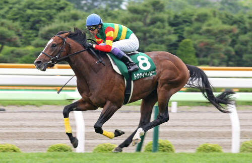 函館記念を制したトウケイヘイロー