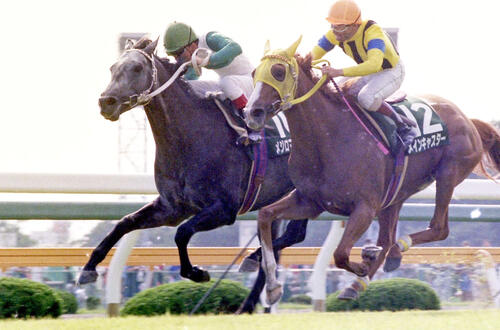 91年函館記念を制したメジロマーシャス(左)