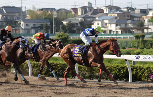20年さきたま杯を制したノボバカラ(埼玉県浦和競馬組合提供)