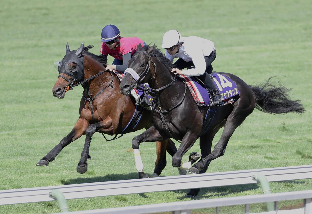 ファウストラーゼン（左）は小林美駒騎手を背にマジックサンズと併せ馬で追い切られる
