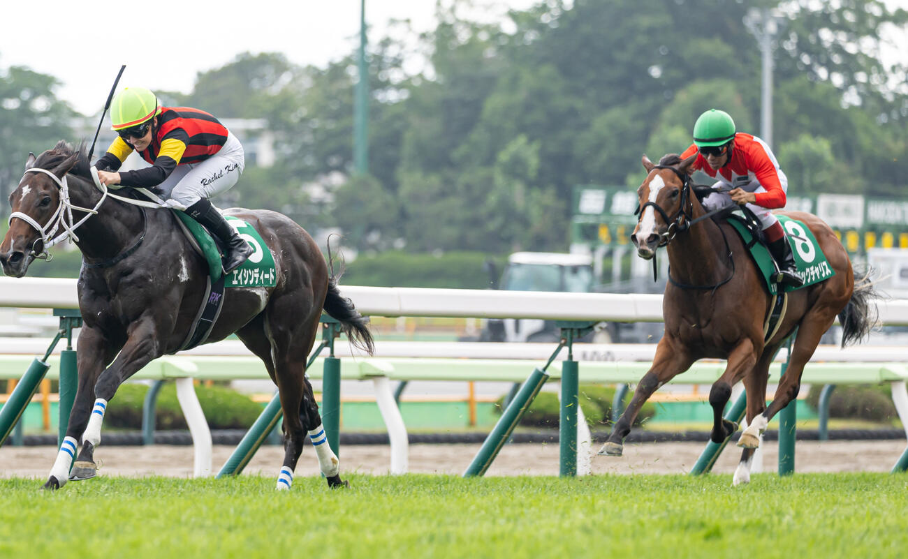 25年函館2歳S2着のブラックチャリス（右）