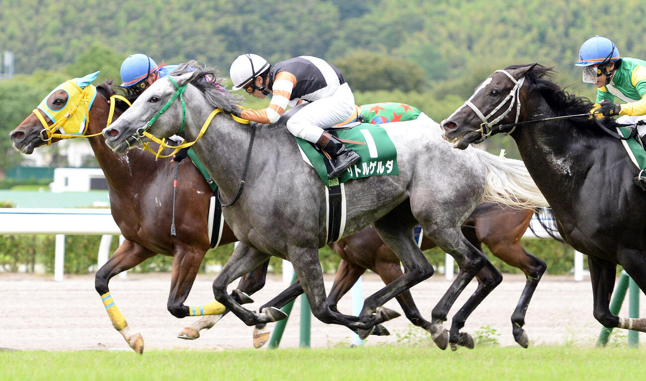 14年北九州記念を制したリトルゲルダ