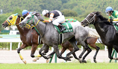 14年北九州記念を制したリトルゲルダ