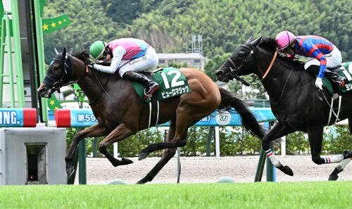 24年北九州記念を制したピューロマジック