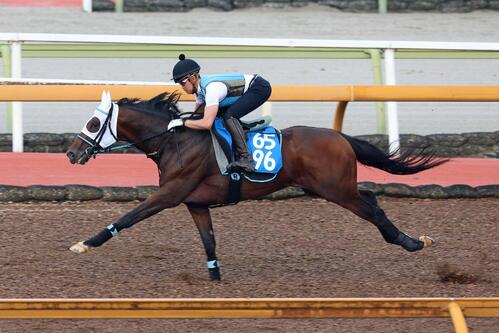 Cウッドコースで追い切るアンクルクロス