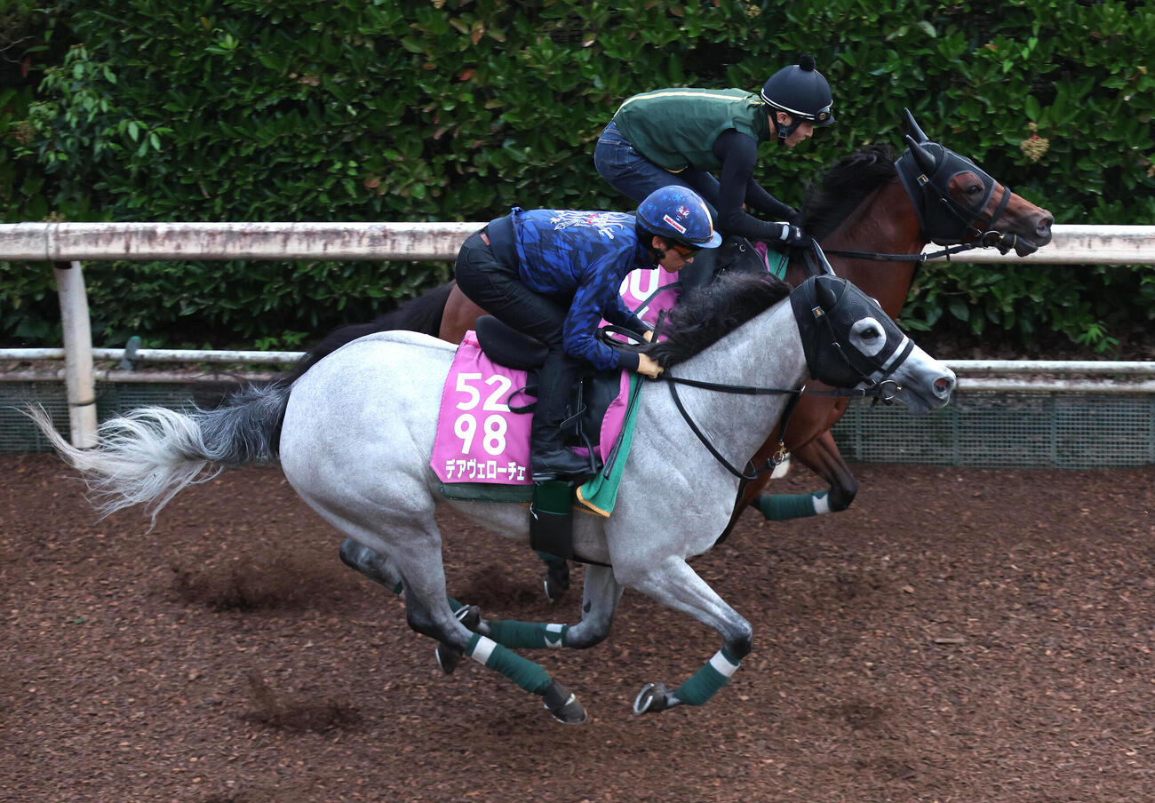 坂路を併せ馬で追い切るデアヴェローチェ（手前）