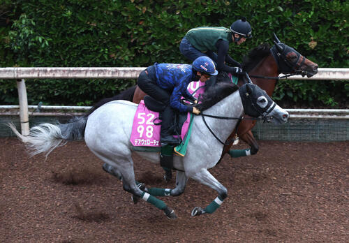 坂路を併せ馬で追い切るデアヴェローチェ（手前）