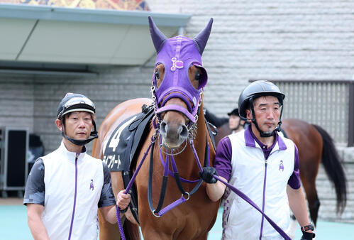 ライフゲート