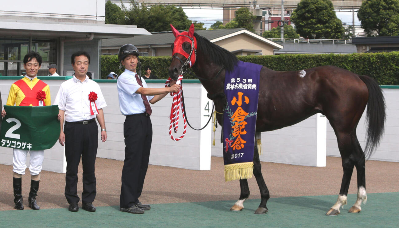 17年小倉記念を制したタツゴウゲキ