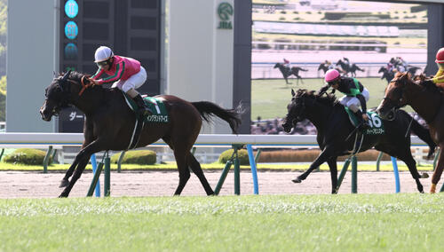 25年小倉記念を制したイングランドアイズ