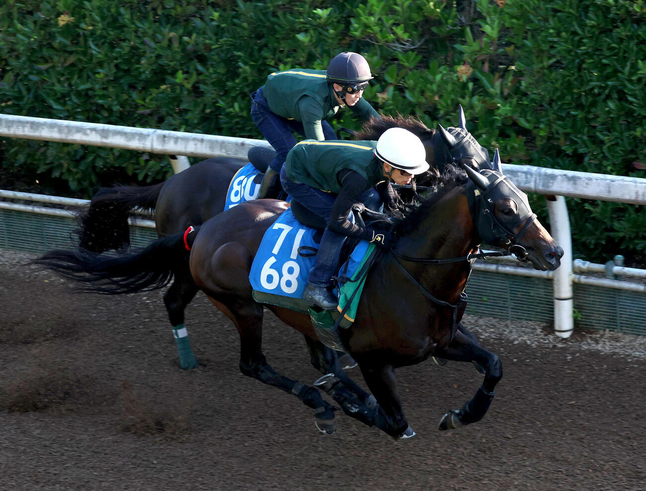 坂路をリチャードバローズ（奥）と併せ馬で追い切るジーティーアダマン（撮影・白石智彦）