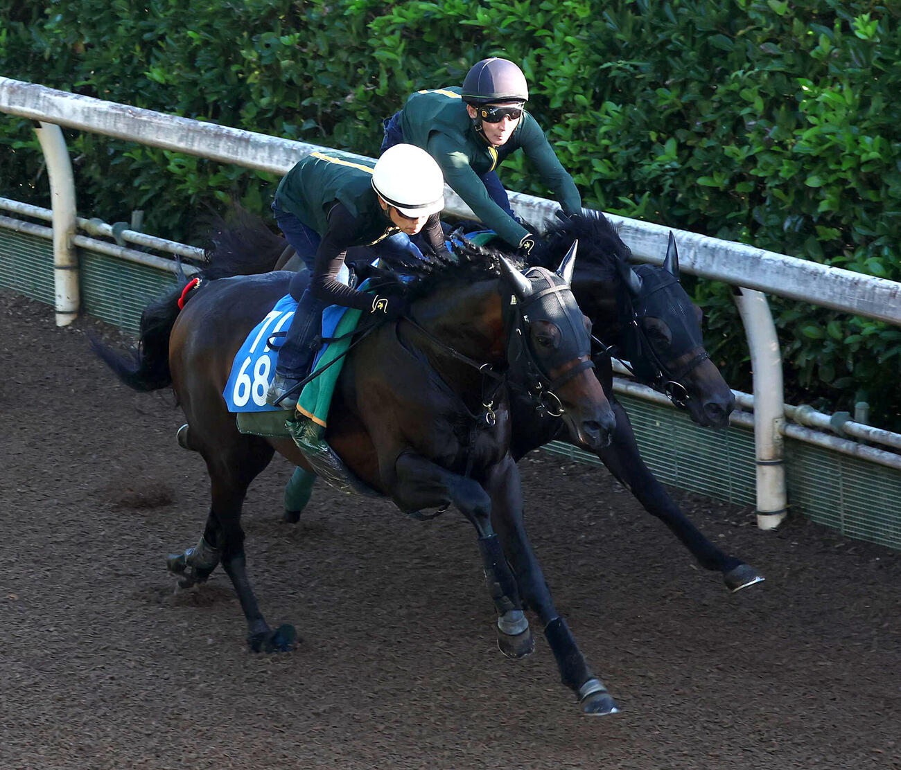 15日、坂路をリチャードバローズ（右）と併せ馬で追い切るジーティーアダマン