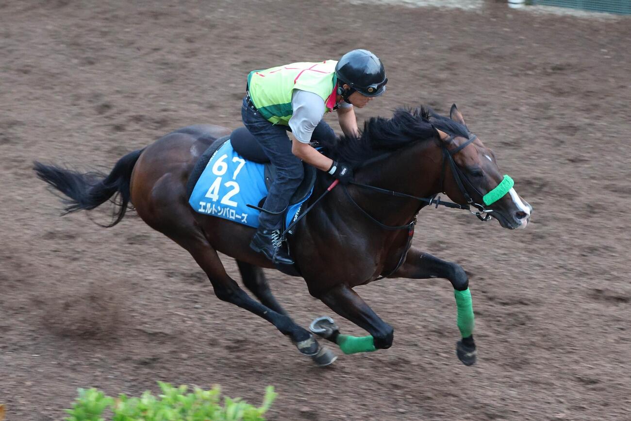 22日、馬ナリで好時計をマークしたエルトンバローズ