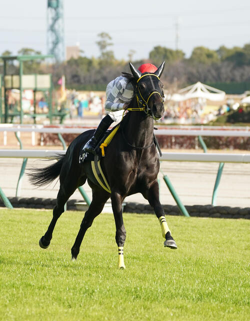ビーグラッド(2023年12月9日撮影)