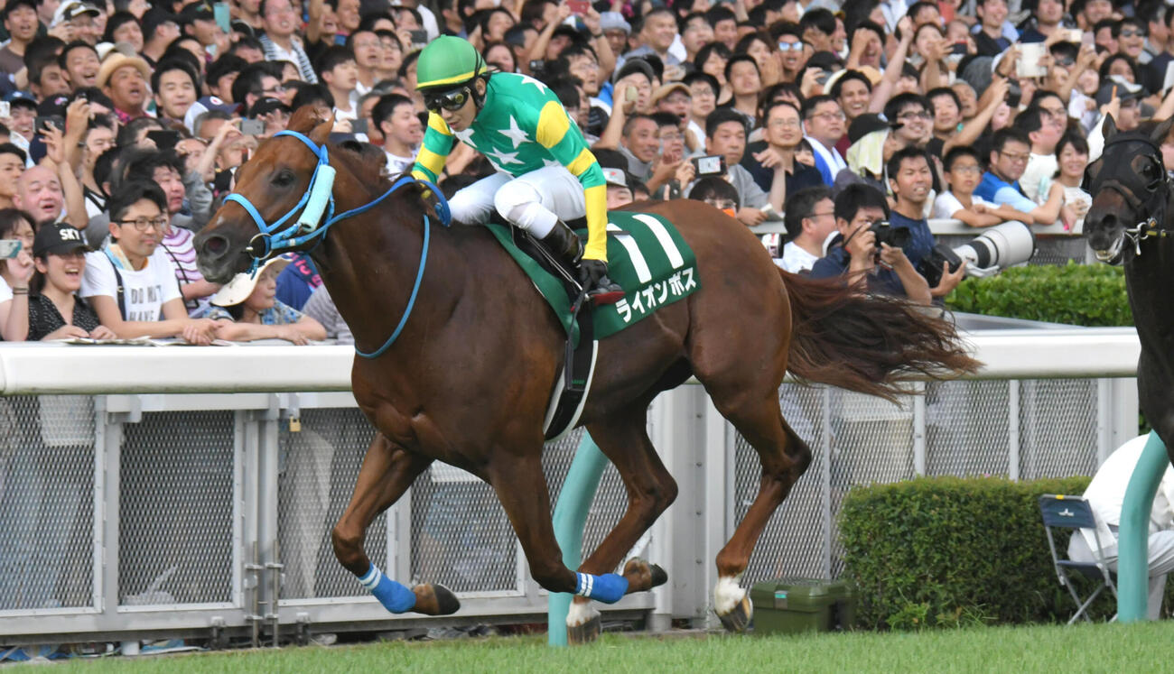 19年アイビスSDを制したライオンボス