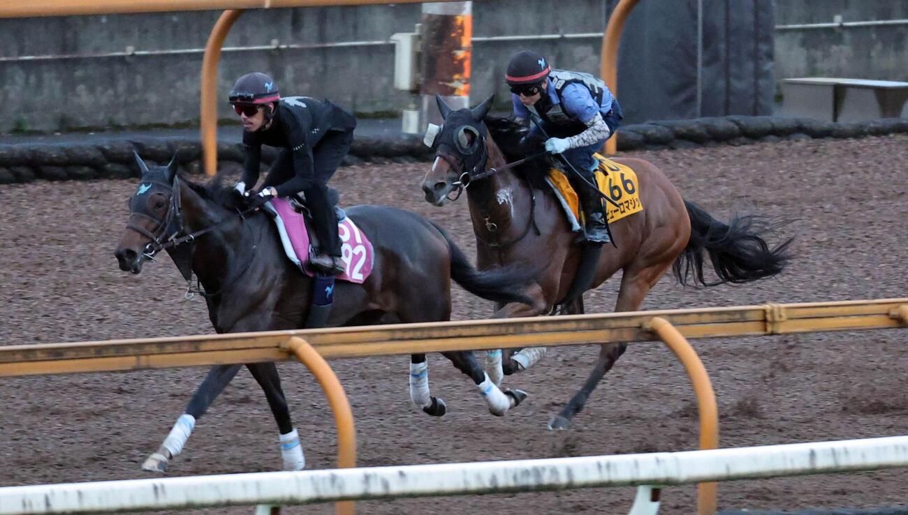 Cウッドコースでシェーネエルデ（左）と併せ馬を行うピューロマジック