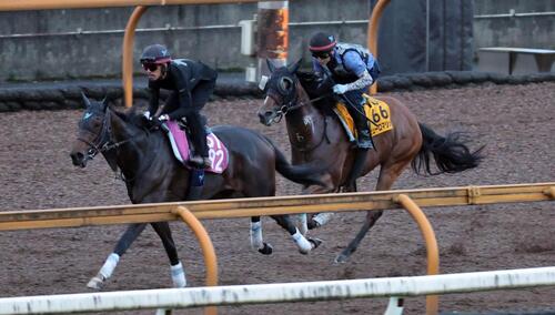 Cウッドコースでシェーネエルデ（左）と併せ馬を行うピューロマジック