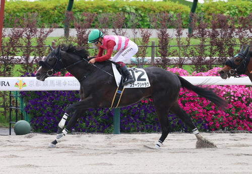 5月31日京都3Rの3歳未勝利を勝ち上がったスナークシャラク