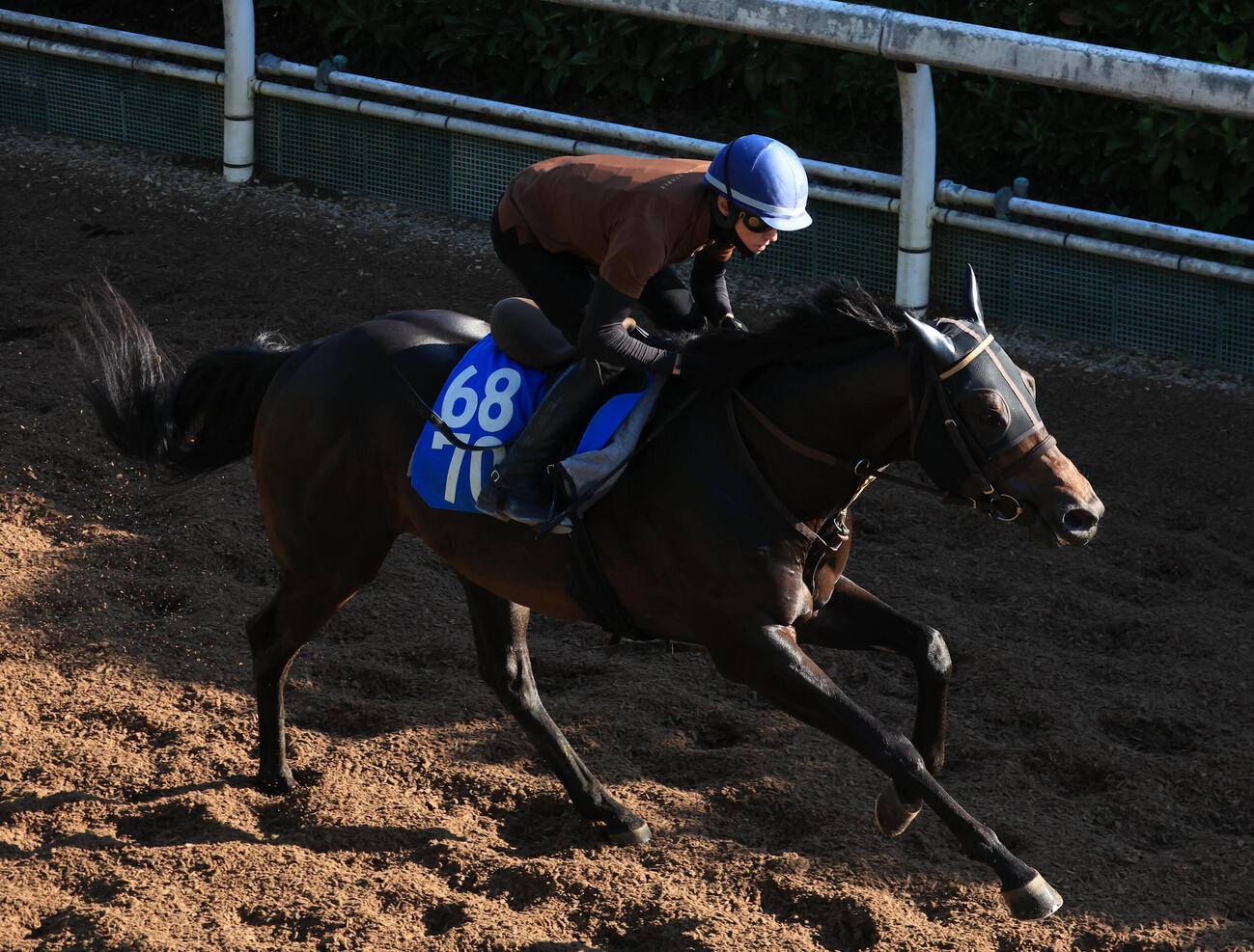 坂路を単走で追い切るクラスペディア