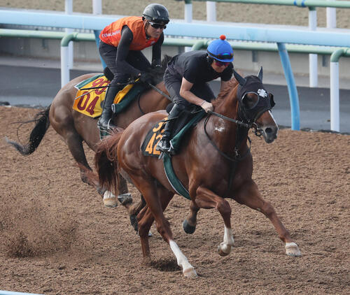 5日、ファイアマン（手前）は原優介騎手を背に美浦ウッドでノーブルアクトと併せて追い切られた
