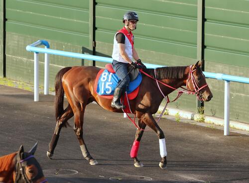 函館競馬場で調整するレヴォントゥレット（2026年8月4日撮影）