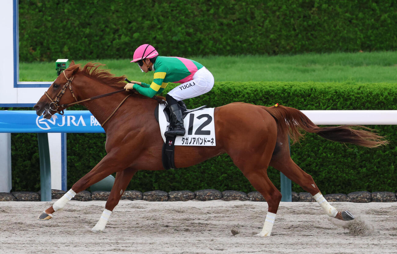 6月21日阪神12Rの3歳以上2勝クラスを制したタガノアバンドーネ