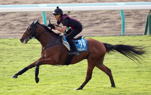 札幌記念に向け札幌競馬場の本馬場で追い切るグランディア