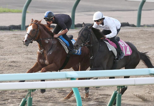 札幌競馬場のダートコースで横山典弘騎手を背に追い切るレディネス(左)