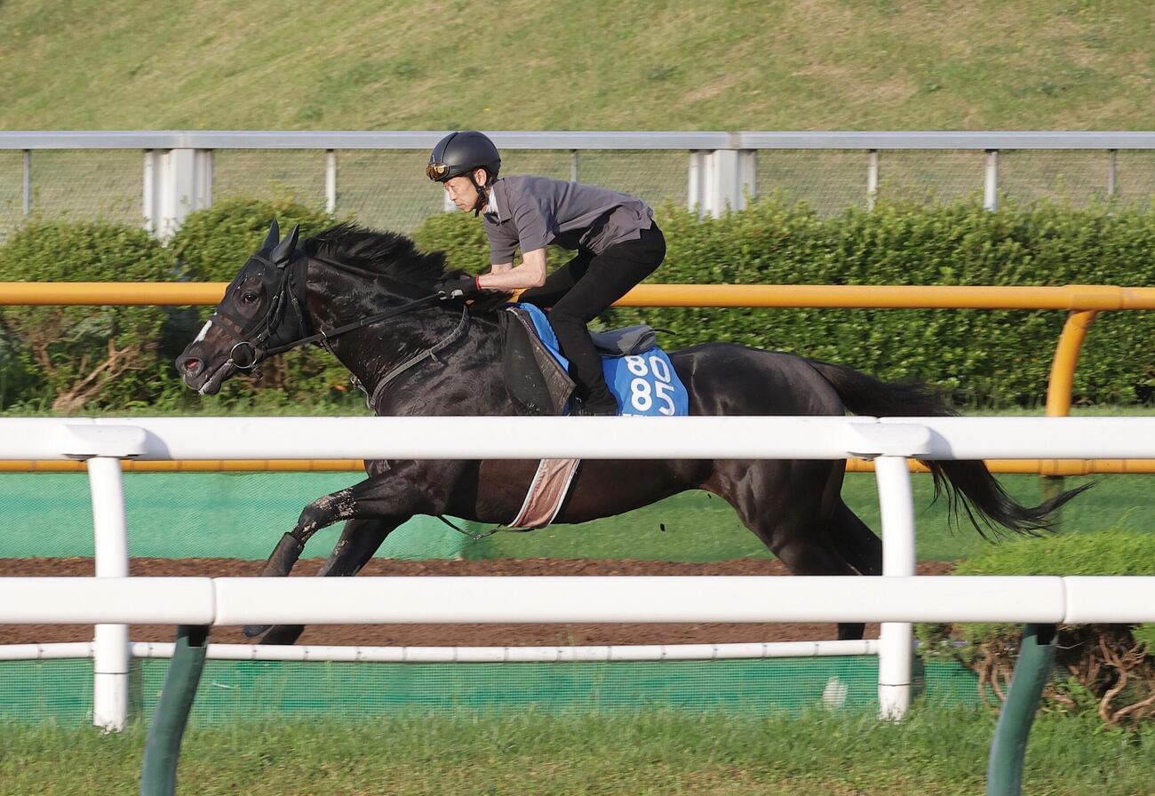 武幸四郎師を背に、ウッドチップコースで追い切られるリラエンブレム