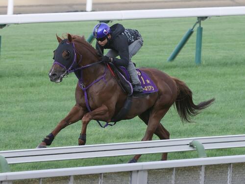 三浦皇成騎手を背に、芝コースで追い切られるウインカーネリアン