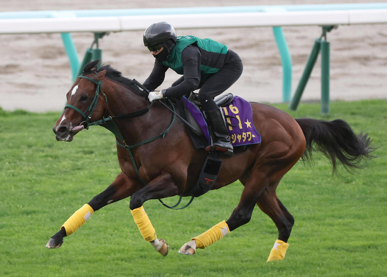 19日、パンジャタワーは札幌競馬場の芝コースで追い切り