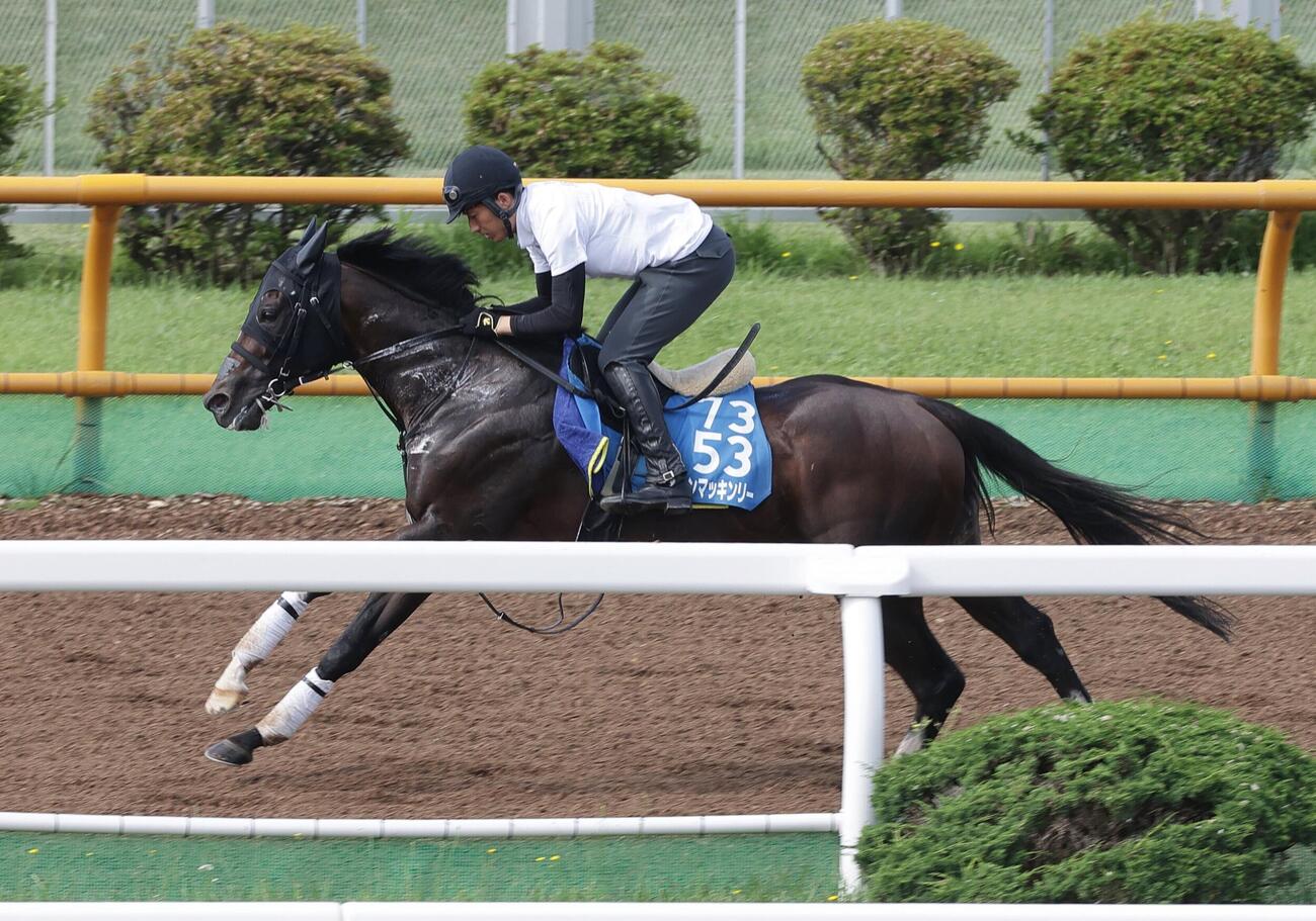 19日、ウッドチップコースで追い切られるダノンマッキンリー