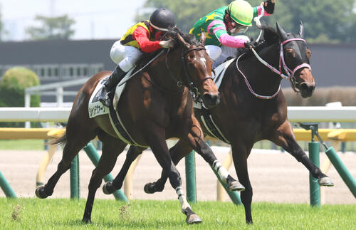 6月13日東京5Rの2歳新馬戦を制したシャンデヴァーグ