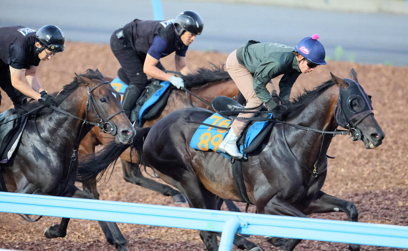 ボーンディスウェイ（右）は丸山元気騎手を背に美浦ウッドを3頭併せで追い切られた