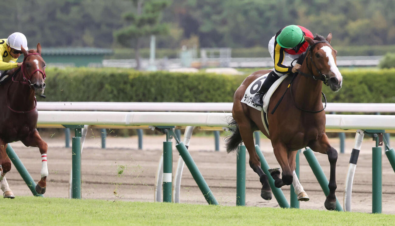 23年新潟での2歳未勝利戦を圧勝したチェルヴィニア