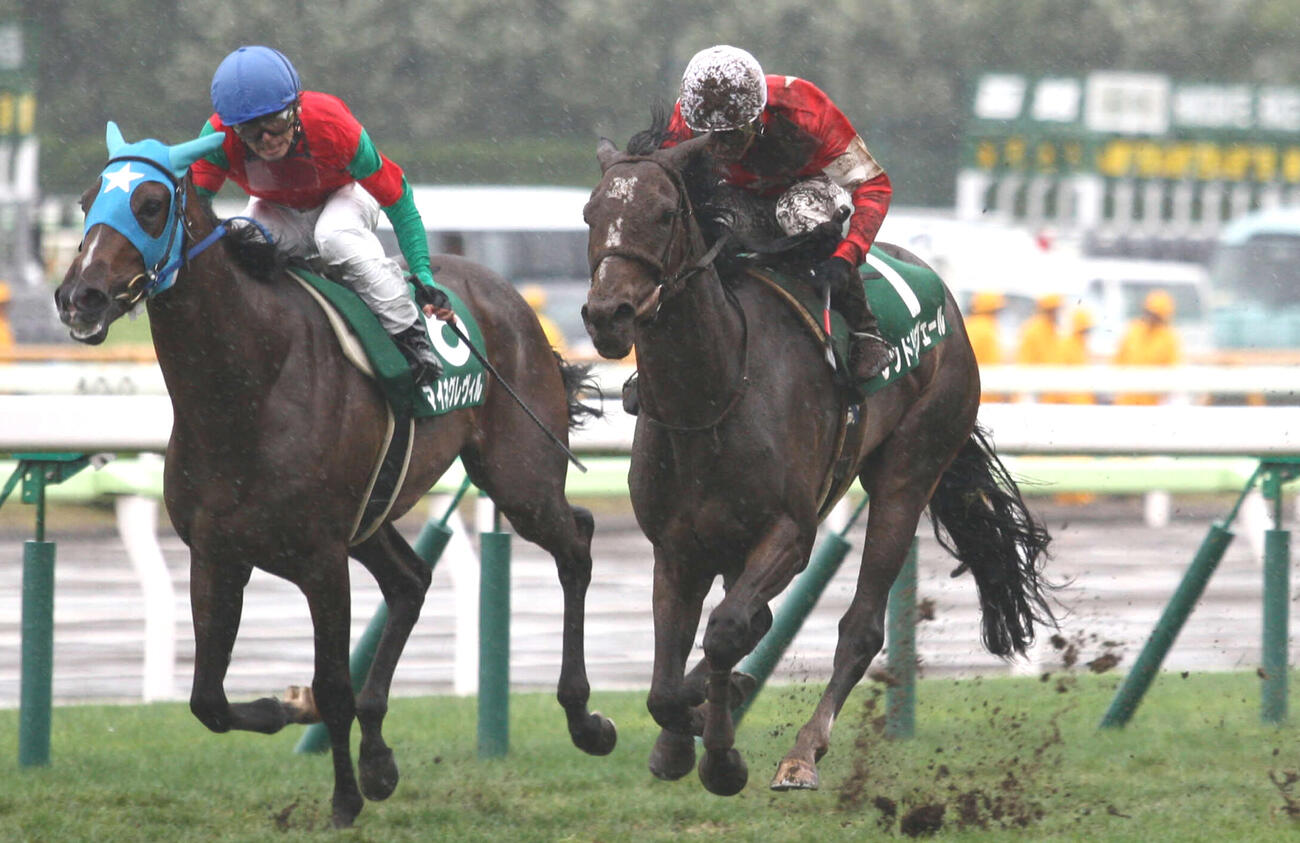 13年札幌2歳Sを制したレッドリヴェール（右）