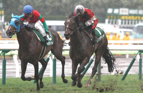 13年札幌2歳Sを制したレッドリヴェール（右）