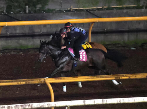 CWコースを併せ馬で追い切るピューロマジック(奥)