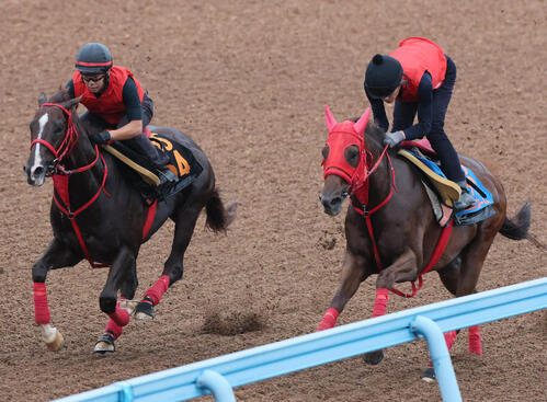 エコロブルーム(右)は美浦ウッドでフクチャンショウなどと併せて追い切られた(撮影・丹羽敏通)