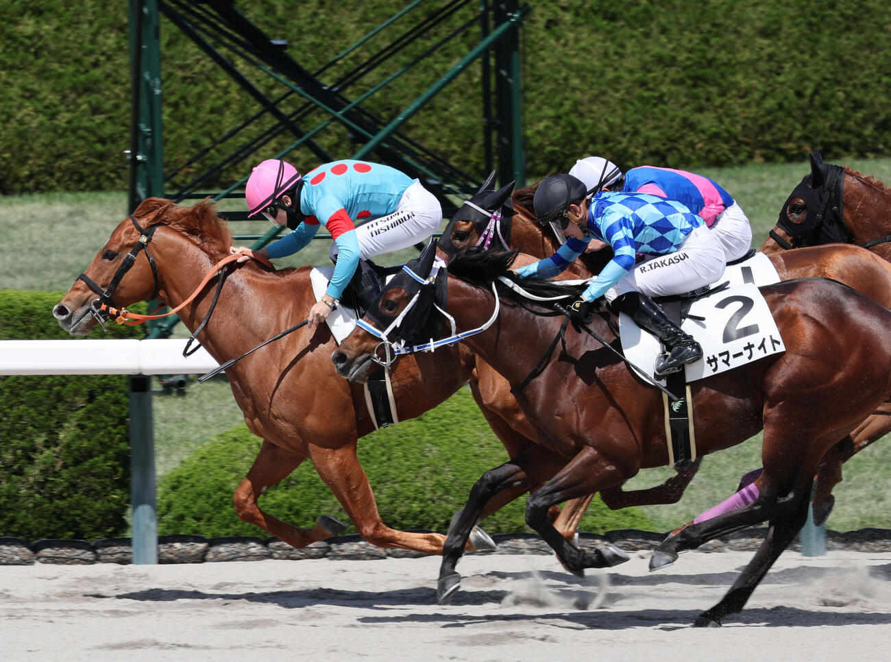 阪神ダート1800で1勝クラスを制したソニックステップ（左）（2026年4月撮影）