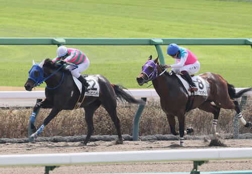 中山ダート1200の3歳未勝利戦を制したマサノピンクレディ(左)(2026年3月撮影)