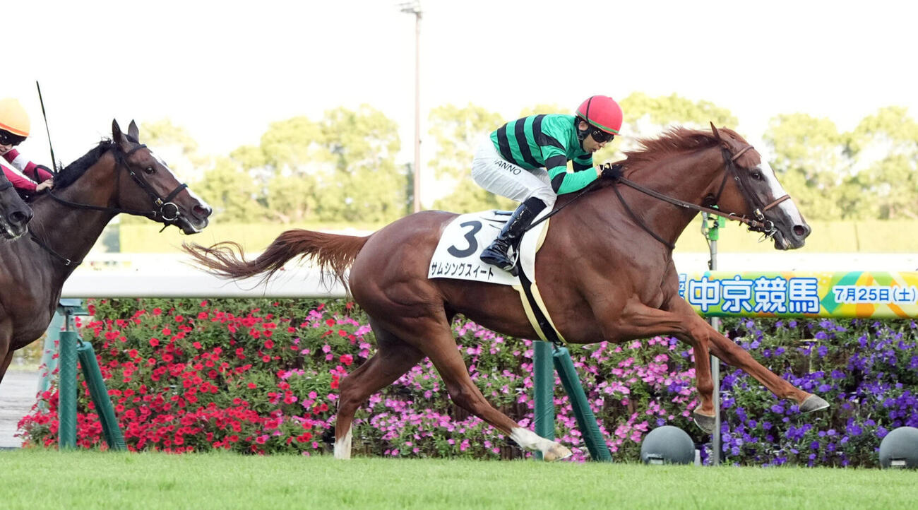 8月1日中京11Rの1勝クラスを制したサムシングスイート