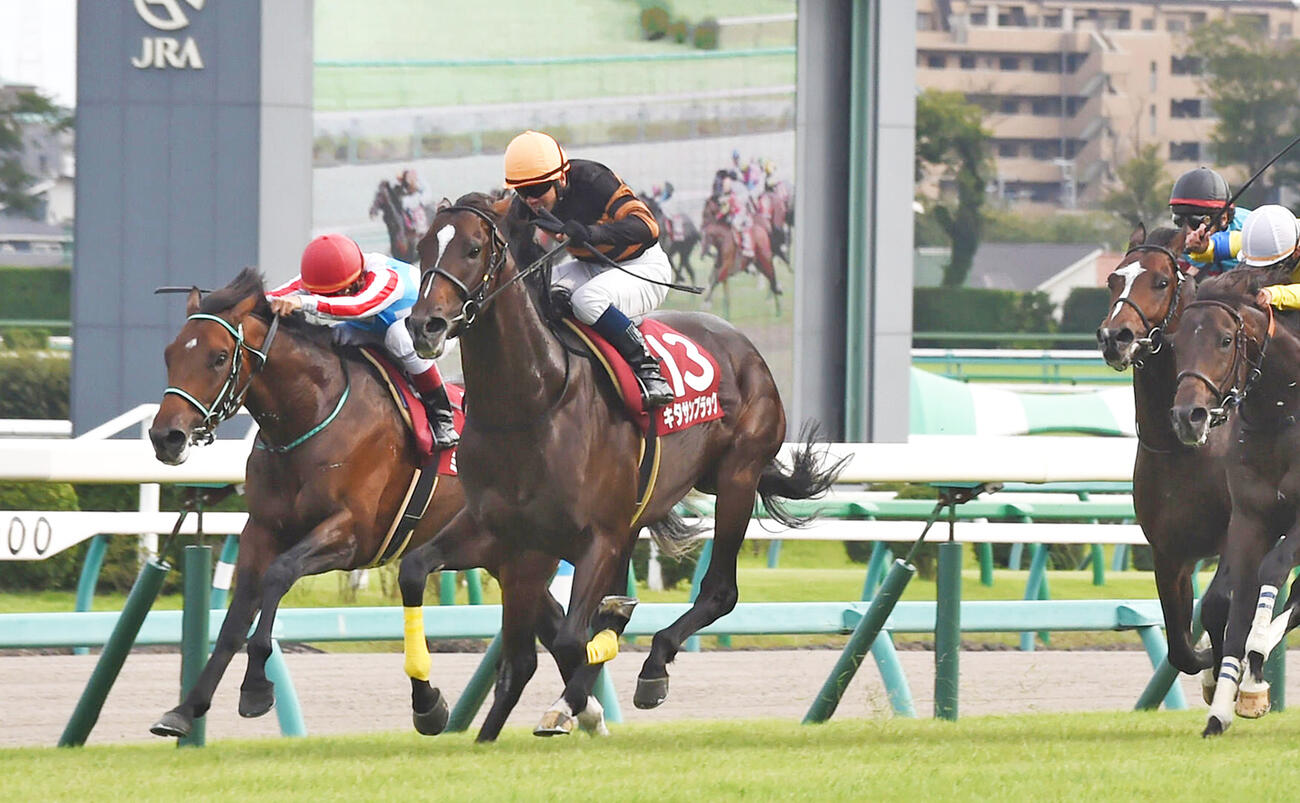 15年セントライト記念を制したキタサンブラック（左から2頭目）