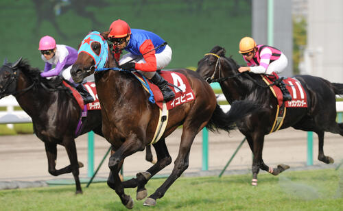09年神戸新聞杯を制したイコピコ(中央)