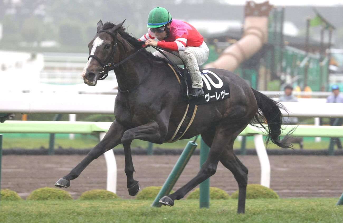 巴賞を制したヴーレヴー